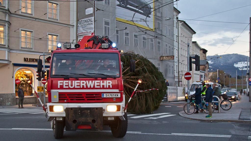 Christbaum ist angekommen