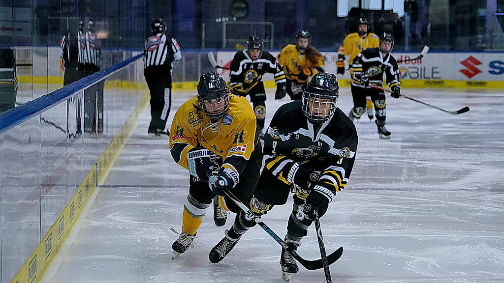 Eishockey: Salzburg Eagles gegen Vienna Sabres