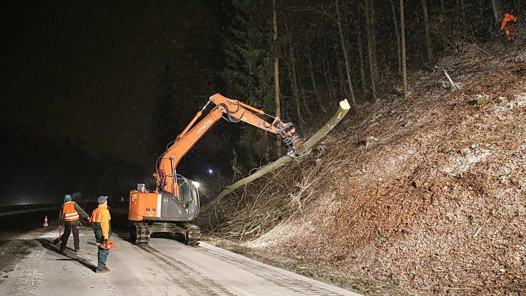 Rodungsarbeiten an der A1