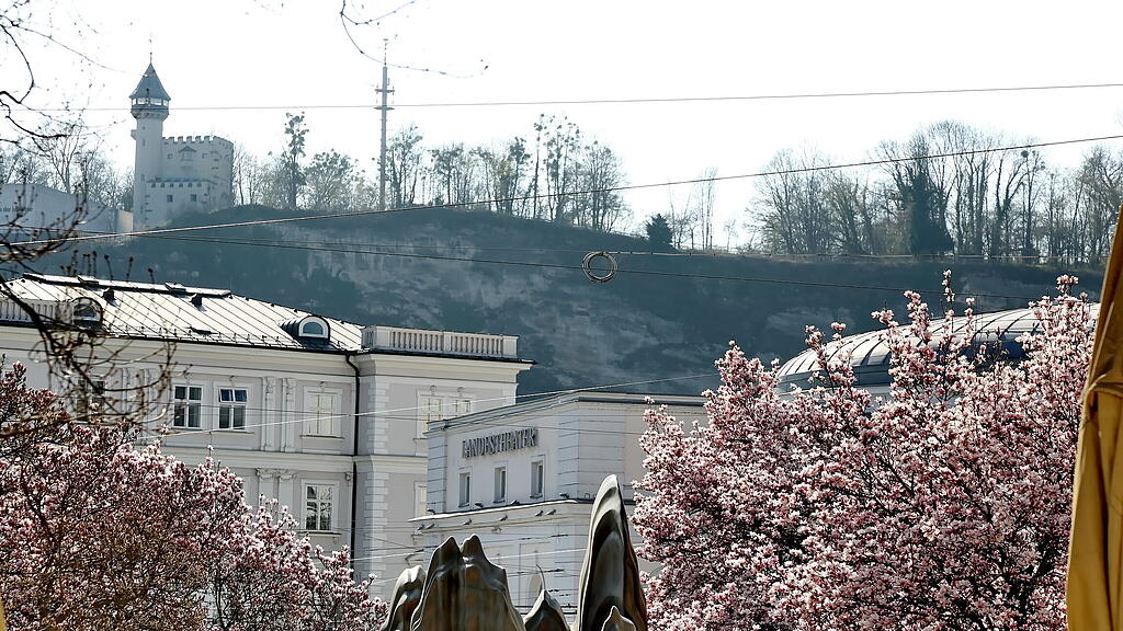 Blühende Magnolien in Salzburg