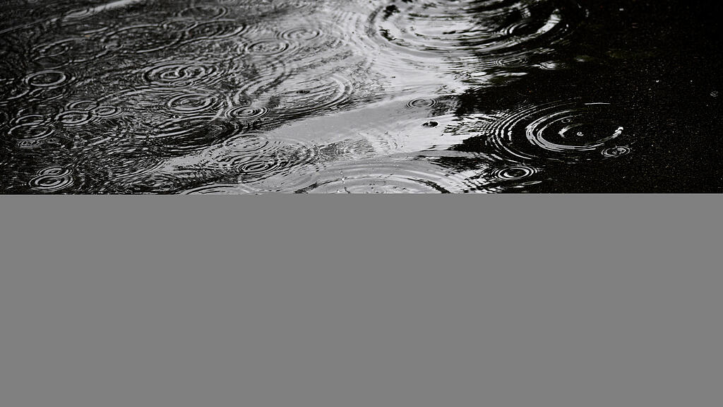 20200804_PD1857.HR.jpg