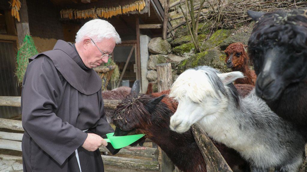 Zoo Salzburg: Erzbischof Lackner besucht Alpakas