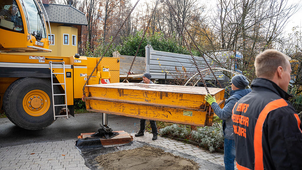 Christbaumernte in St. Jakob am Thurn