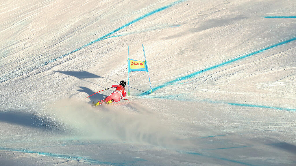 Nicole Schmidhofer, Ski Alpin, Speed