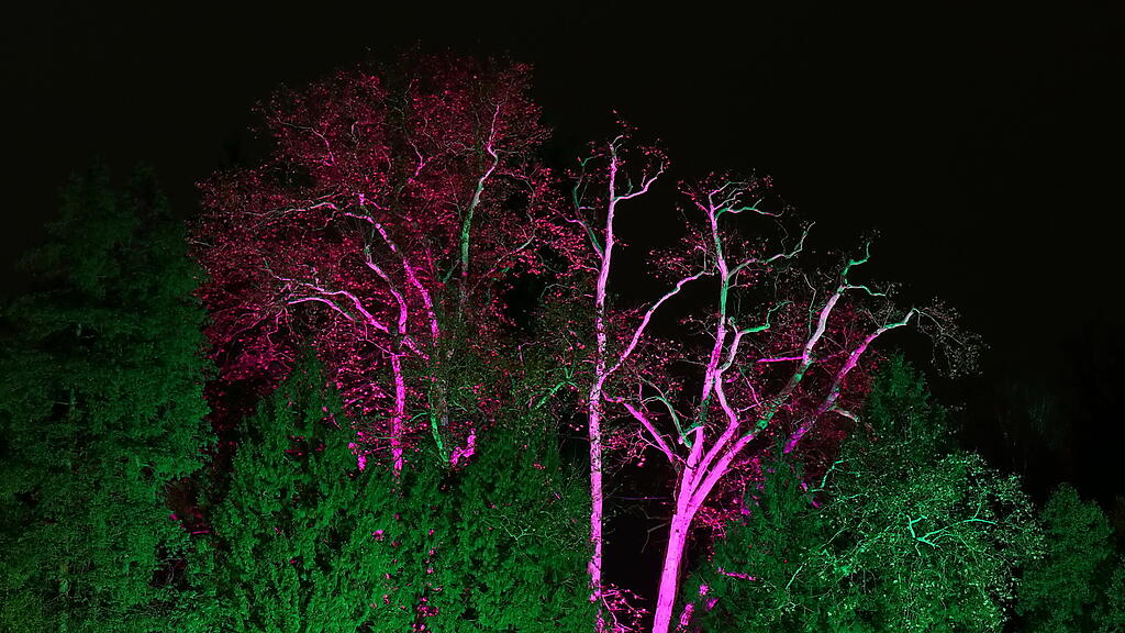 20181125fmt_hellbrunn_ta_011.JPG
