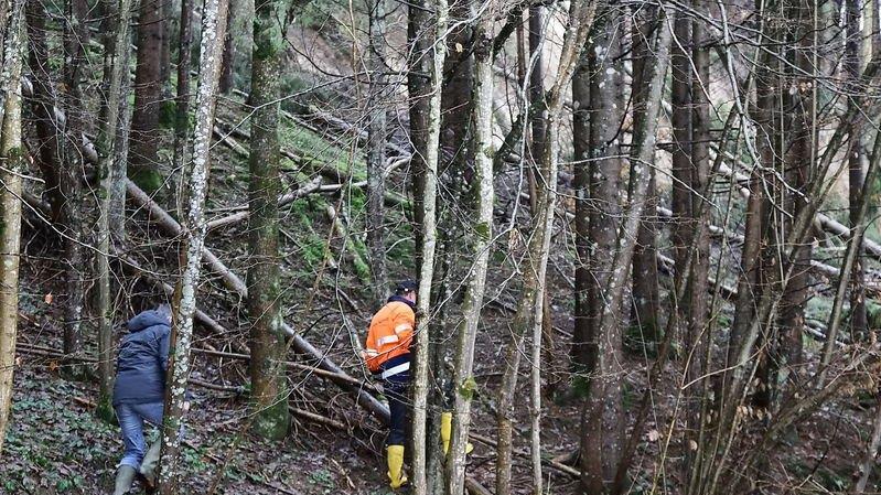 Hang rutscht auf L220