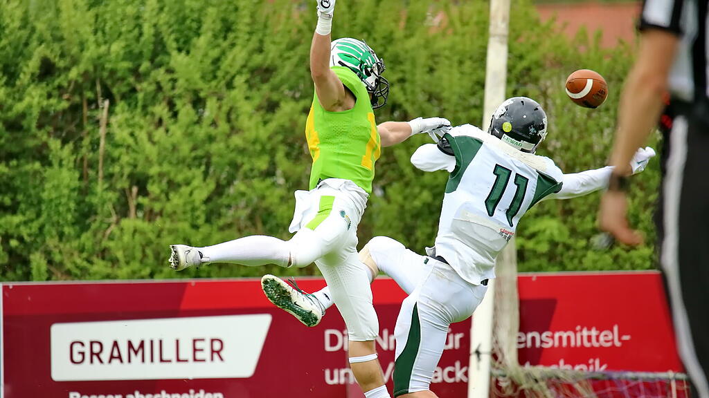 Salzburg Ducks, Danube Dragons