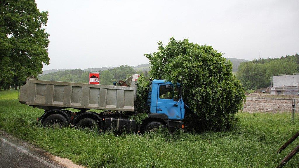 Lkw prallt in Baum