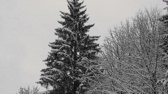 Winter in Ebenau
