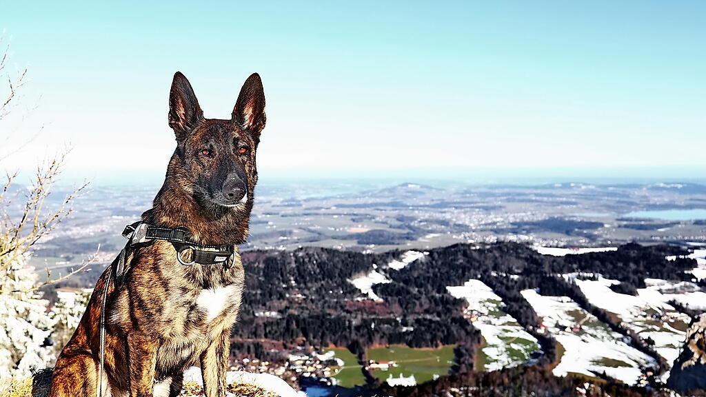 Wanderung über verschneiten Gaisberg