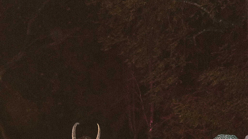 Krampuslauf Schloss Aigen
