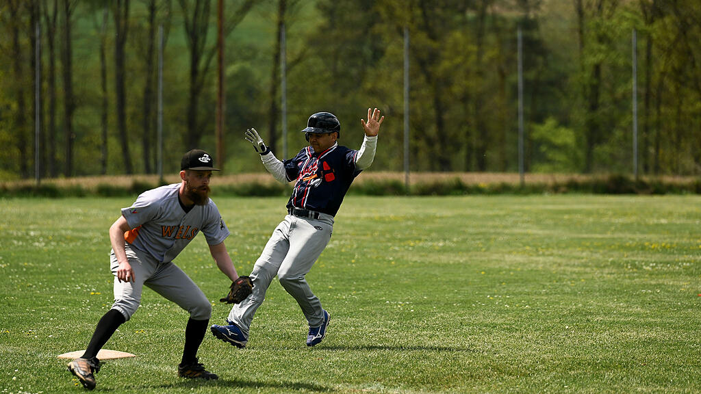 Braves Hallein, Baseball