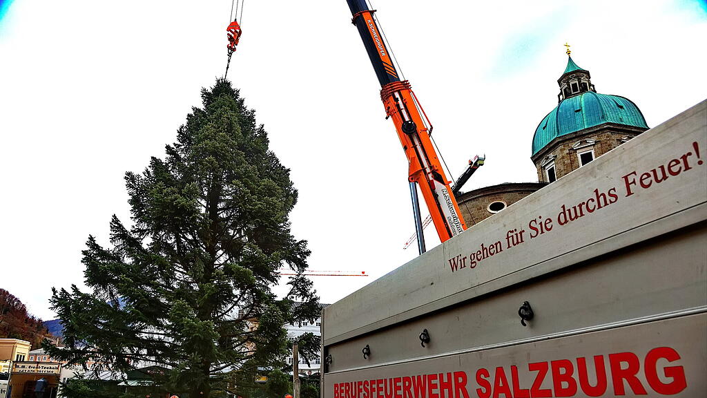 Baum am Christkindlmarkt eingetroffen II