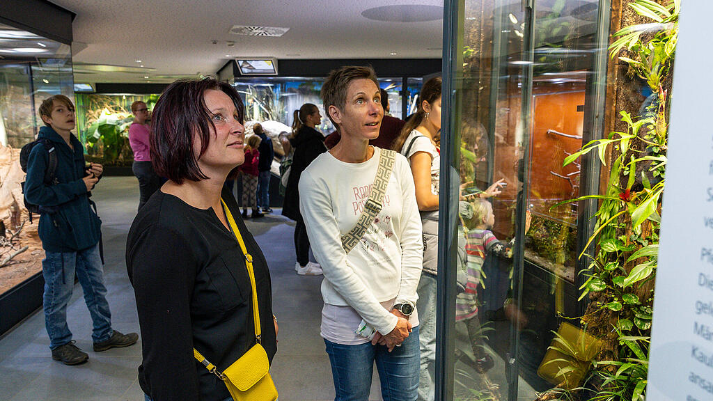 Lange Nacht der Museen