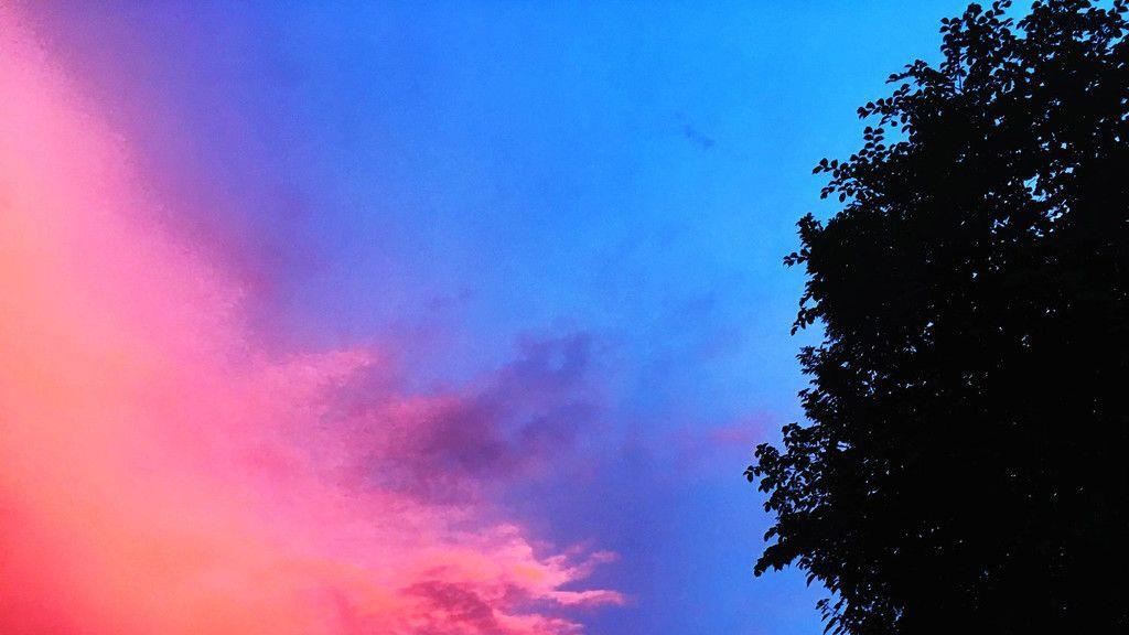 Das sind eure spektakulären Sonnenuntergangs-Bilder