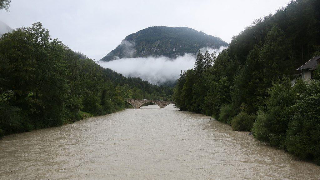 Suche nach Kuh in der Saalach