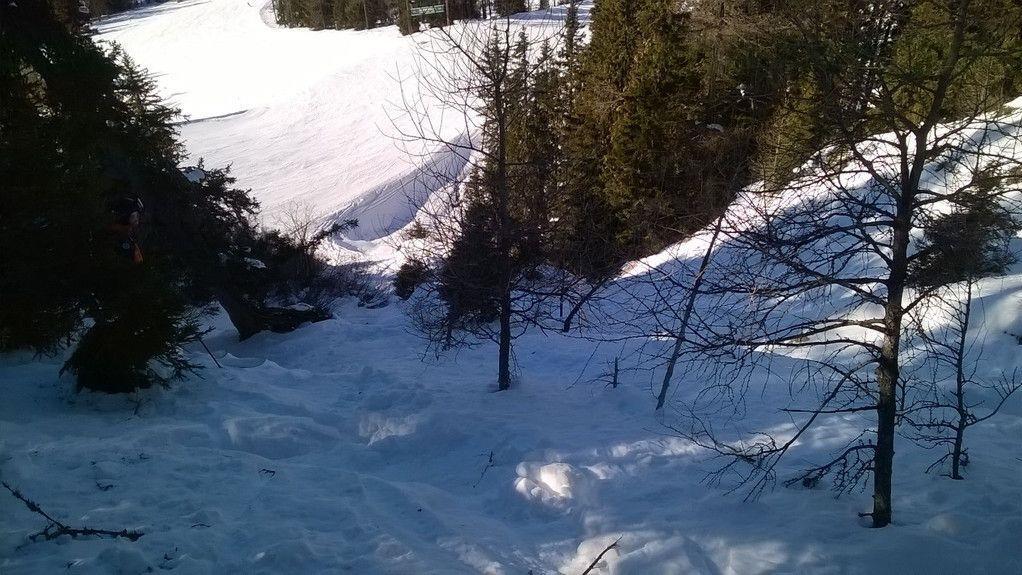 Suchaktion im Pongau