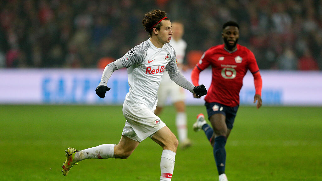 Lille, Salzburg, Champions League,