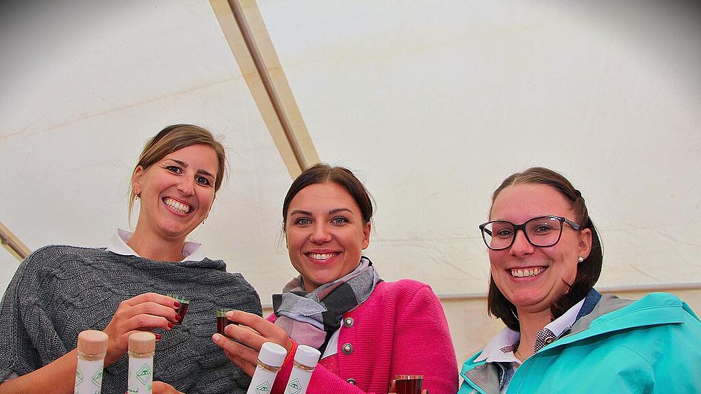 R\u00f6sslmarkt und Bartholom\u00e4us Kirtag in Mauterndorf