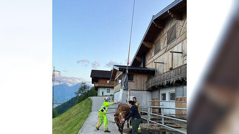 Abgestürzte Kuh in St. Johann gerettet