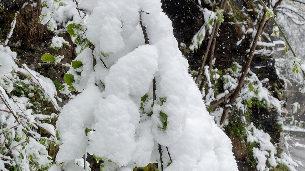 Wintereinbruch in Bad Gastein