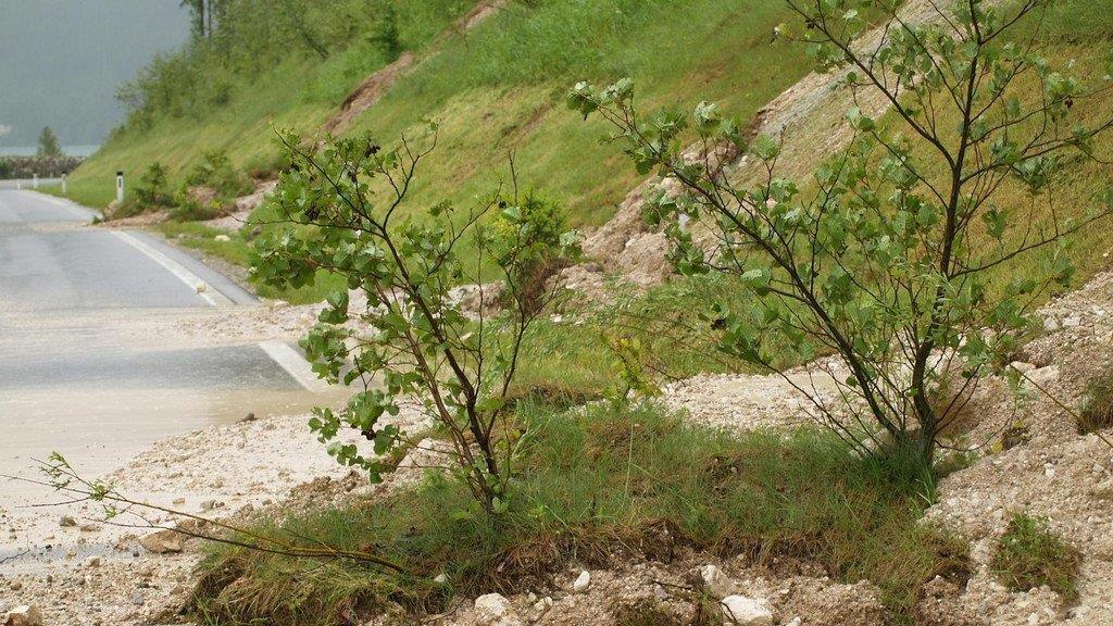 Hochwasser Mondsee/Attersee