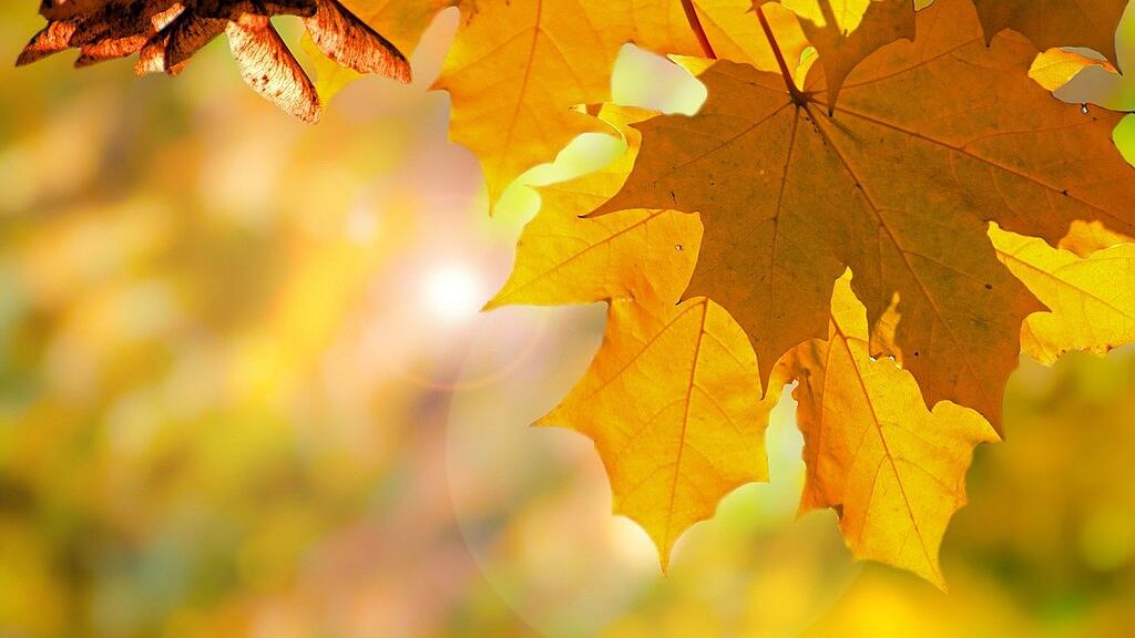 symb_herbst symb_herbstwetter symb_Wetter