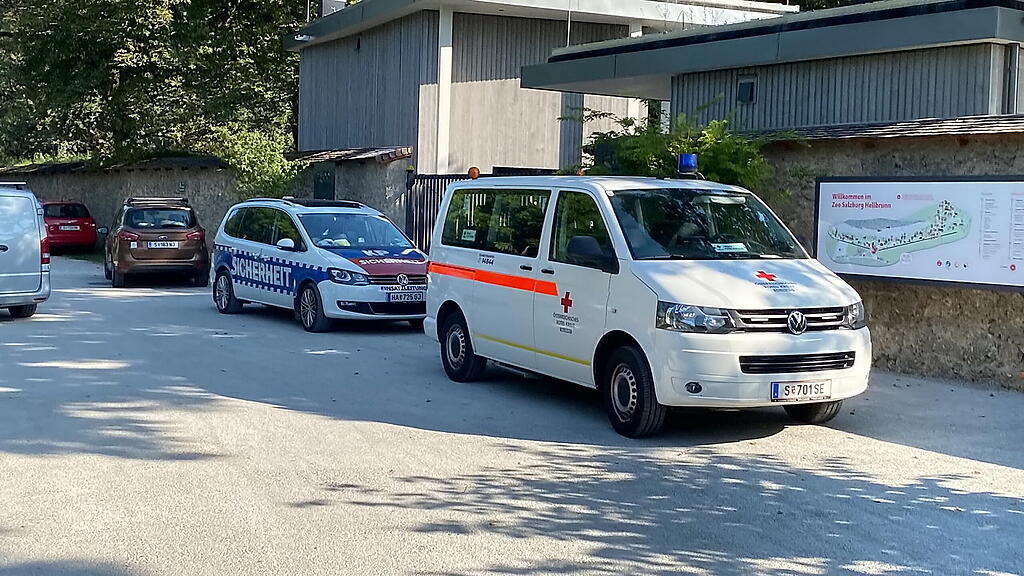 Zoo Salzburg, T\u00f6dlicher Arbeitsunfall, II