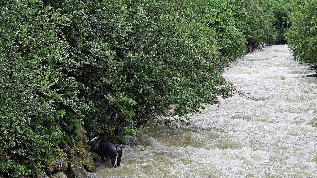 kalb obersulzbach