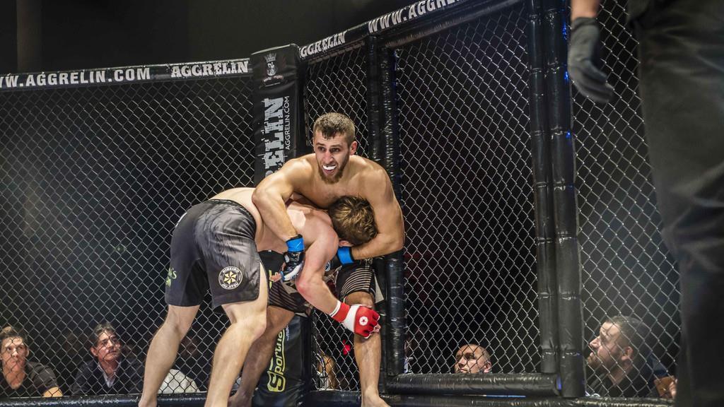 Aggrelin I
