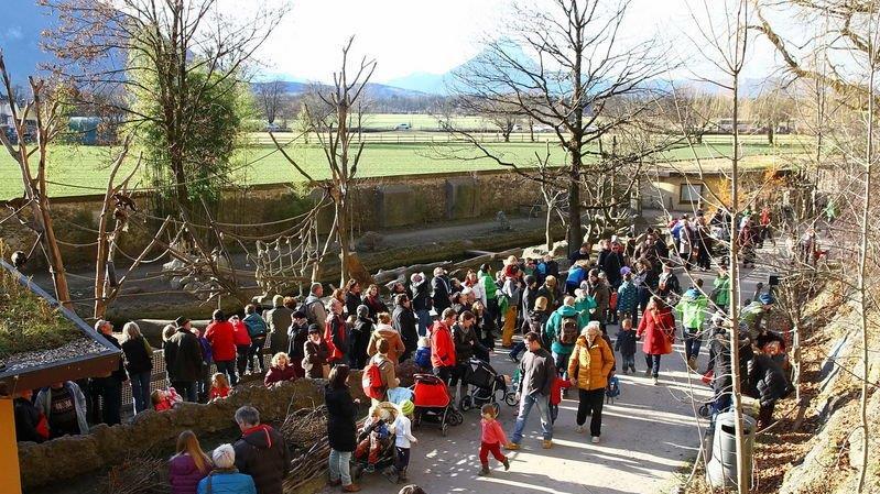 Warten aufs Christkind im Zoo, II