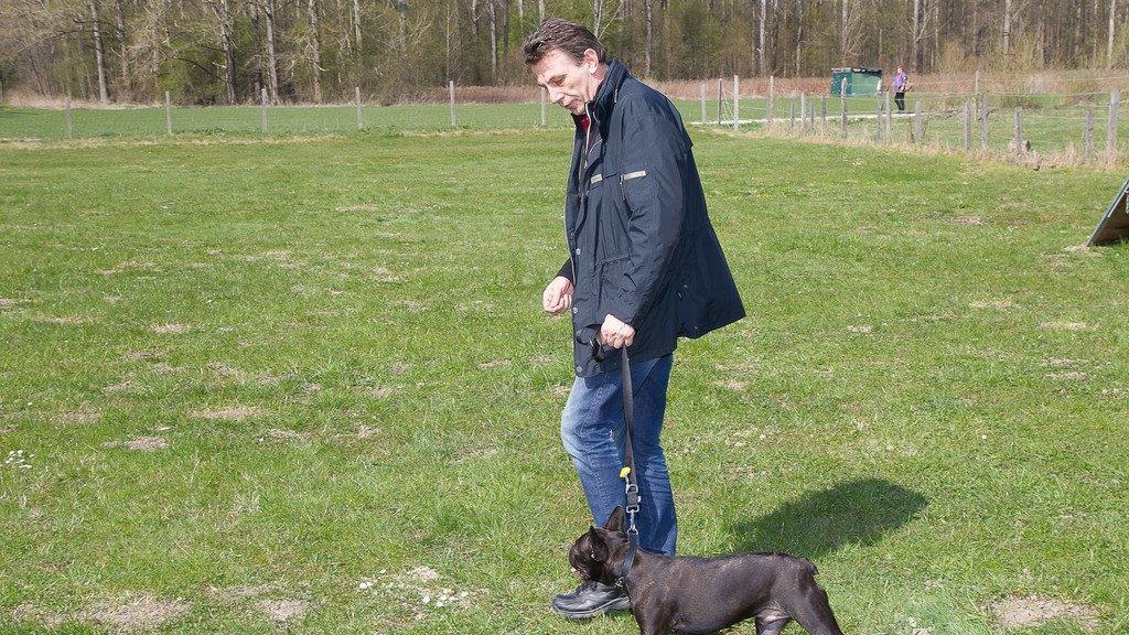 "Der gelbe Hund" in Nußdorf