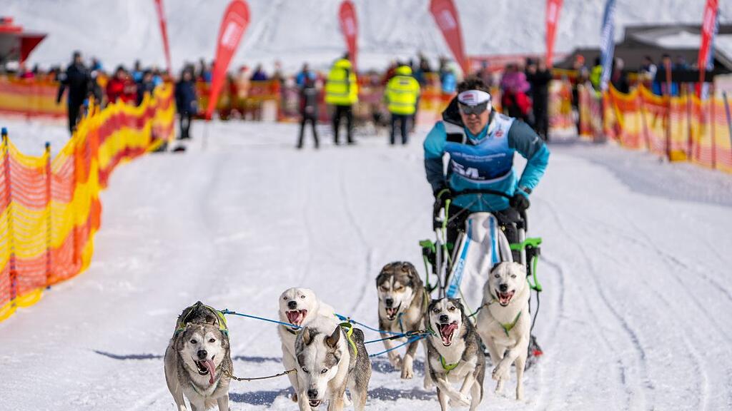 Schlittenhunde-WM in Sportgastein, Samstag