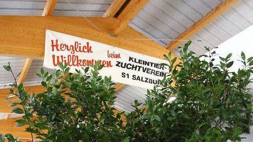 Bilder der Ausstellung