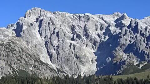 Christbaum aus Maria Alm