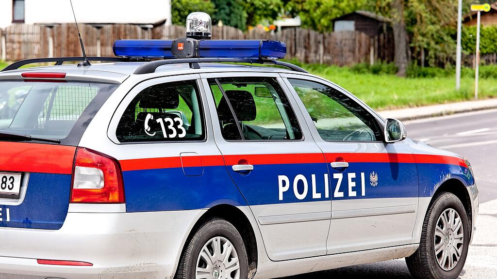 Ein Auto der Salzburger Polizei wurde beschädigt. (Symbolbild)