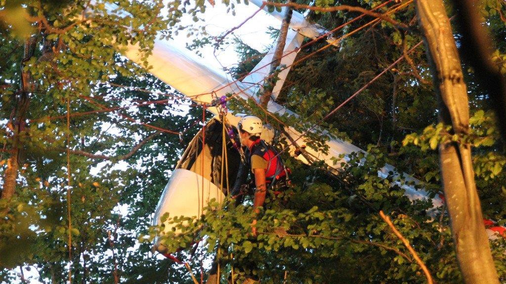 Segelflugzeug in Baumkronen