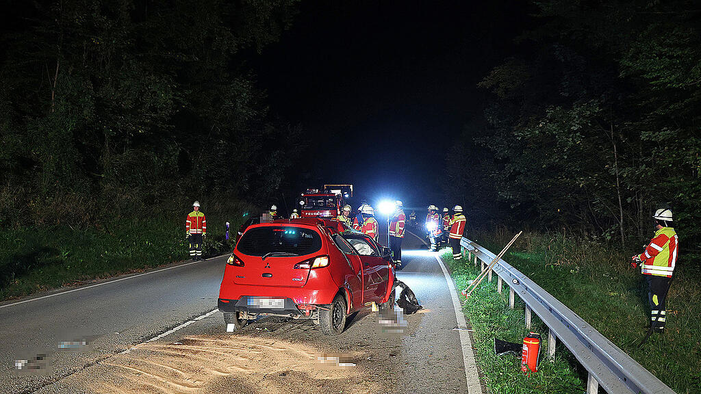 Reh_Unfall_Piding