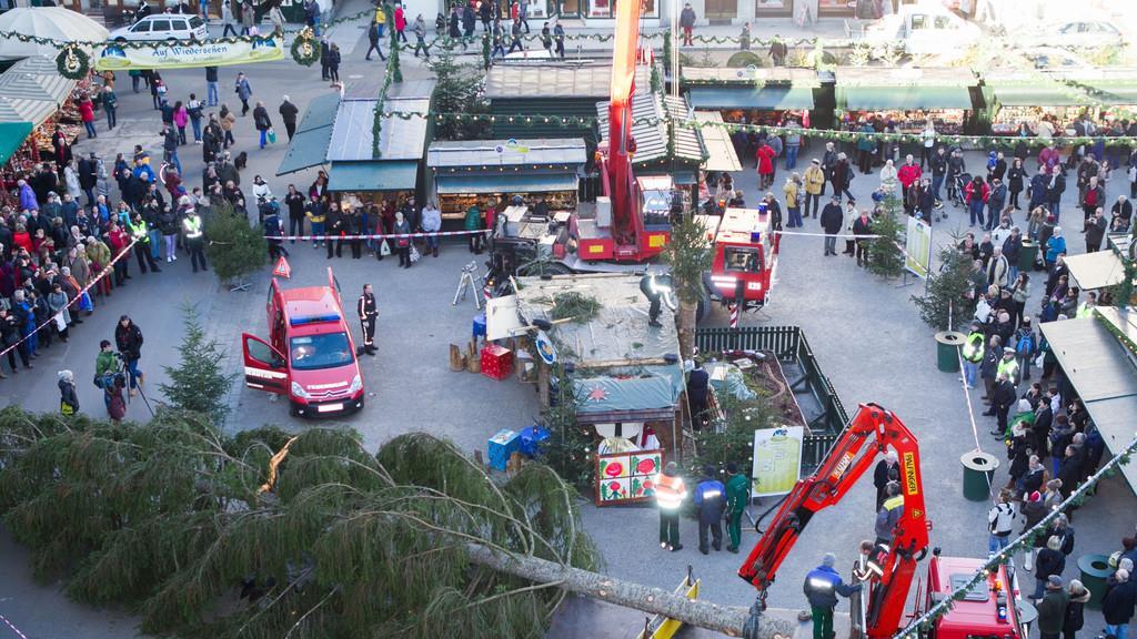 Neuer Baum steht