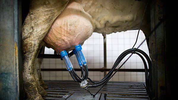 Grenzwerte um 400 Prozent überschritten