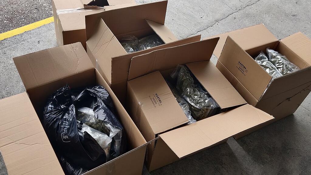 Zoll Salzburg: Kiloweise Cannabis / Marihuana