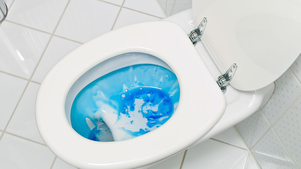 138835_Reinigen_der_Toilette.jpg