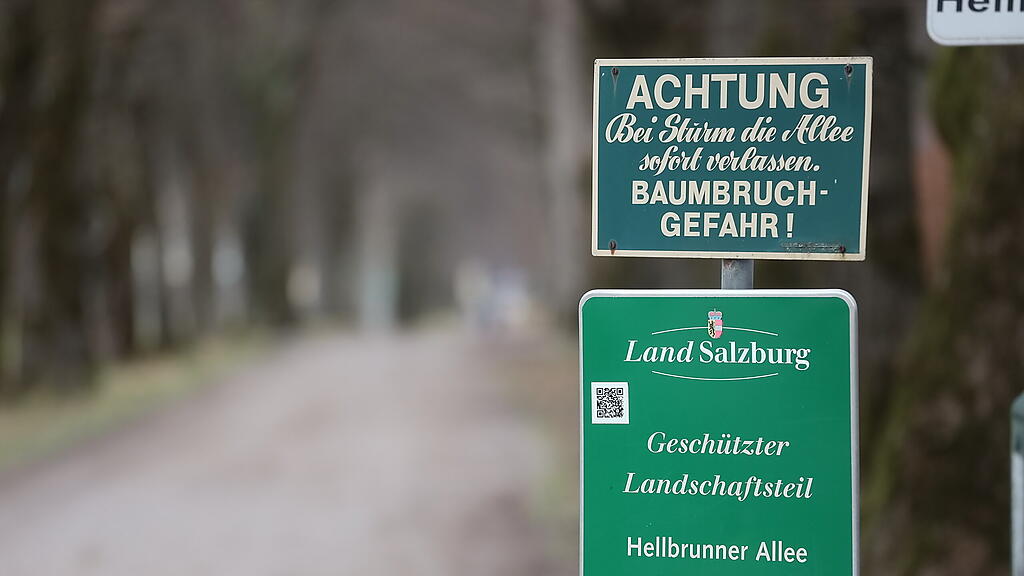 Sturm Sabine, Sperren im Stadtgebiet