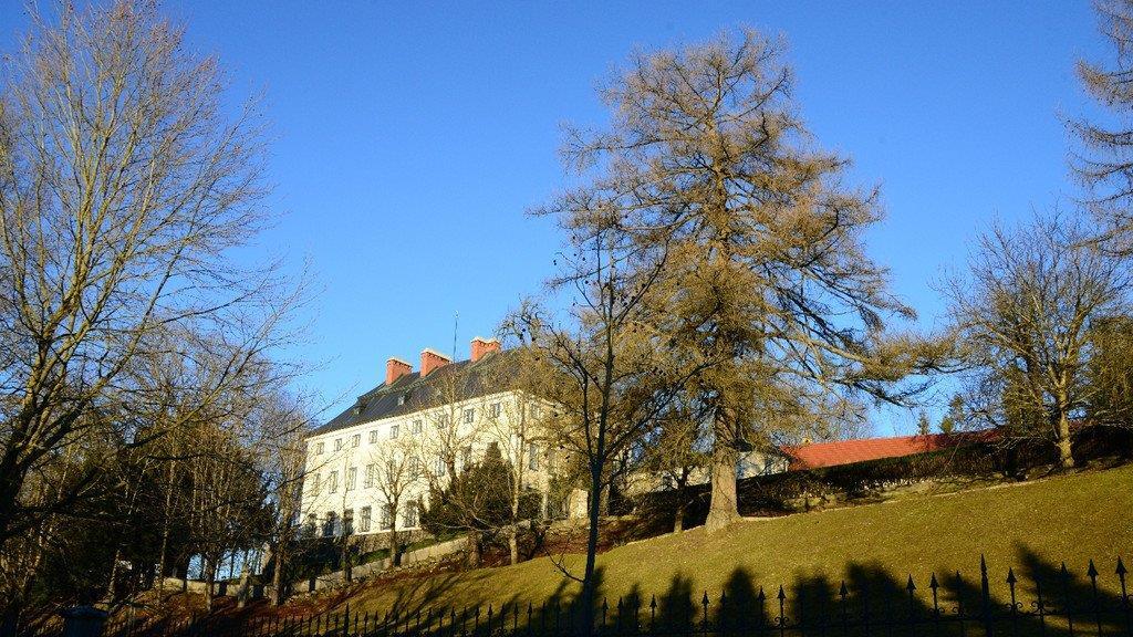 Frühlingserwachen im Flachgau