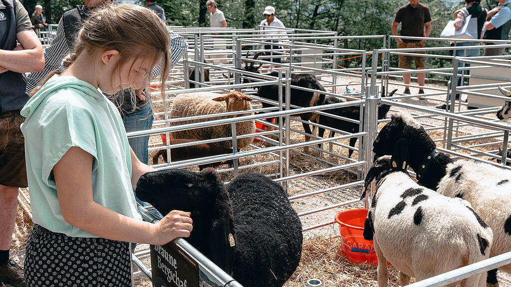 Tag der Schaf- und Ziegenhaltung in Maria Plain