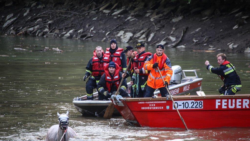 Pferderettung durch die Feuerwehr