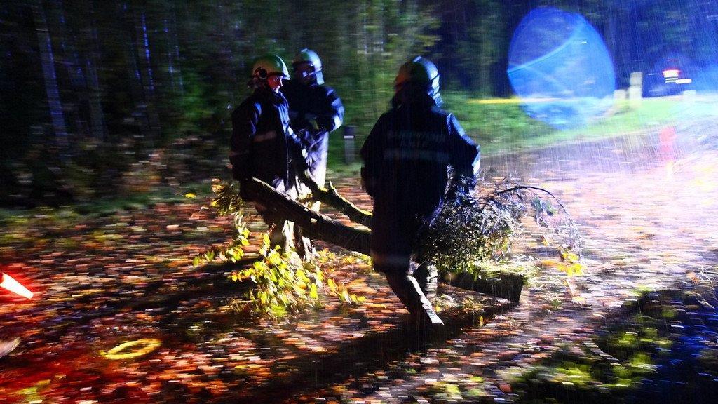 Sturm über Salzburg: Umgestürzter Baum in Anif