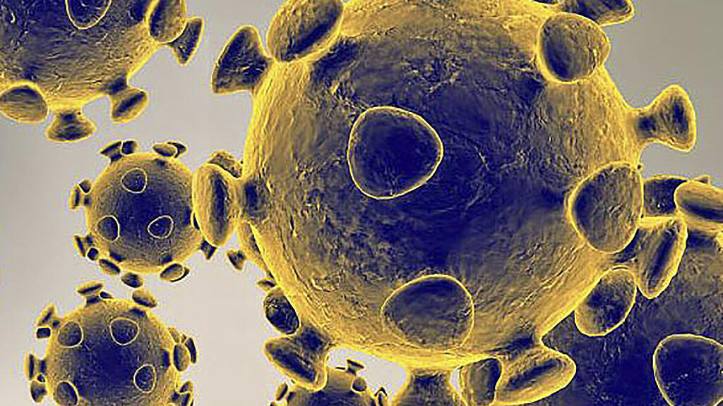 Das Virus breitet sich in vielen Ländern weiter rasant aus