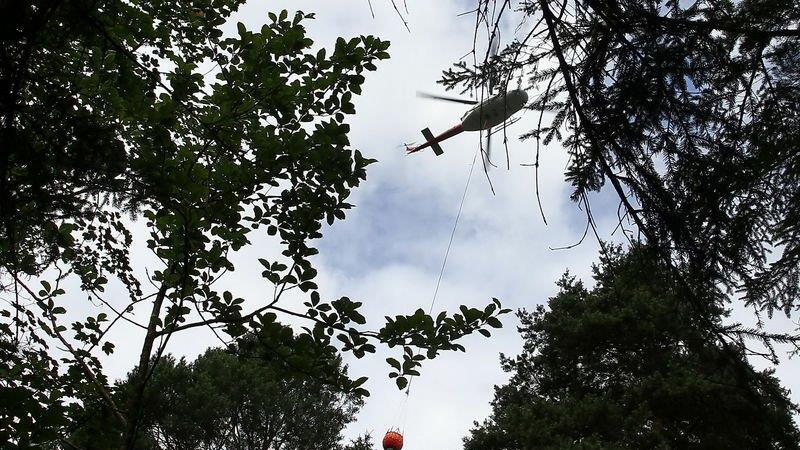 Waldbrand unter Kontrolle