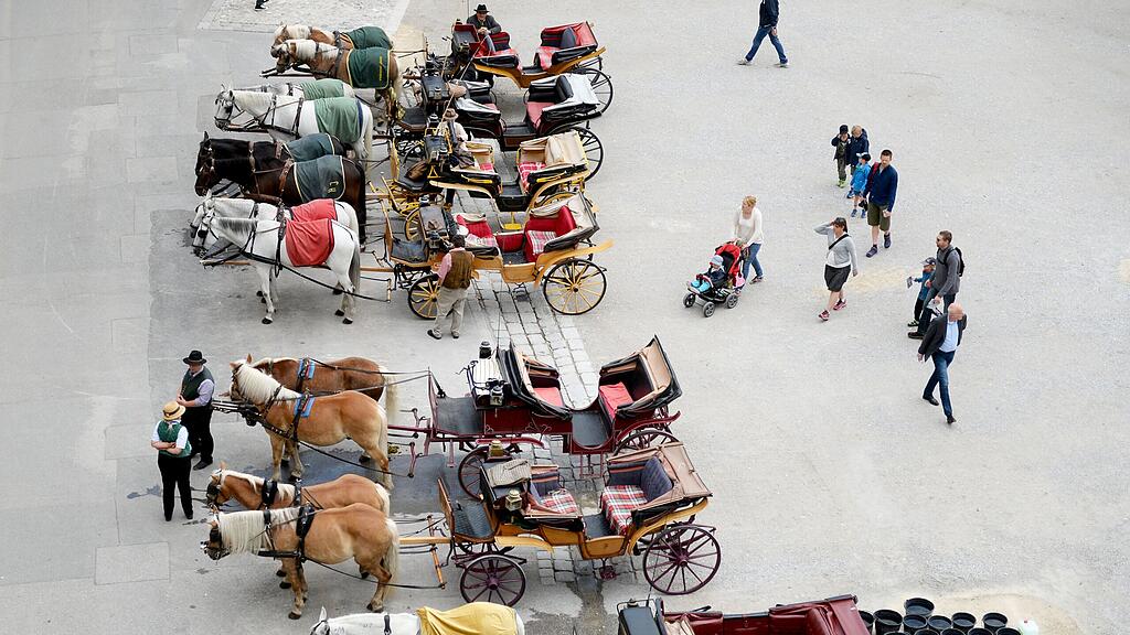 Salzburgs Fiaker legen am Mittwoch hitzefrei ein.